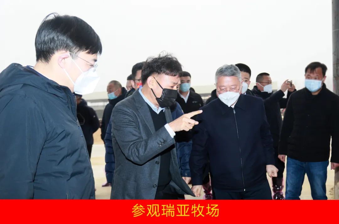 新年開(kāi)新局 合作促發(fā)展丨佳木斯市委常委、副市長(zhǎng)閆志剛一行蒞臨花花牛乳業(yè)集團(tuán)及佳田企業(yè)考察座談