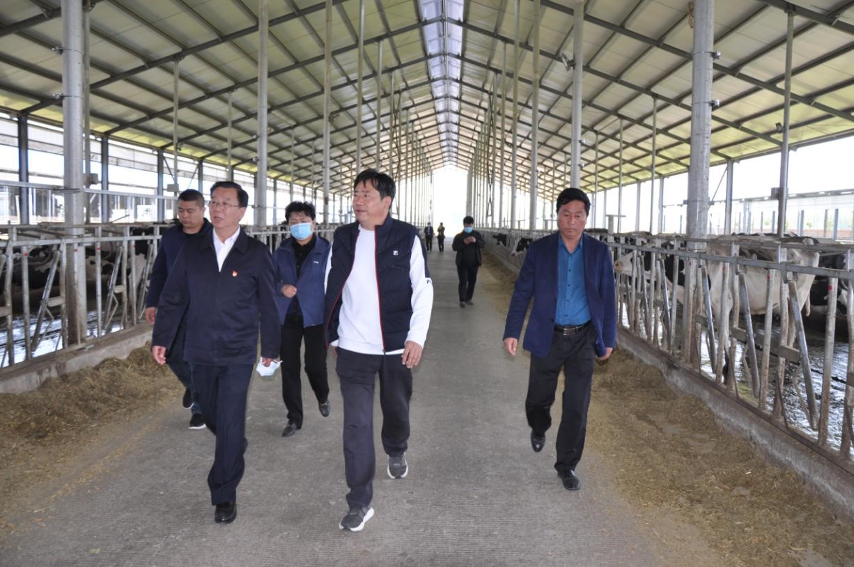 商丘市委常委、宣傳部部長王全周一行蒞臨睢縣瑞亞牧業(yè)有限公司調(diào)研