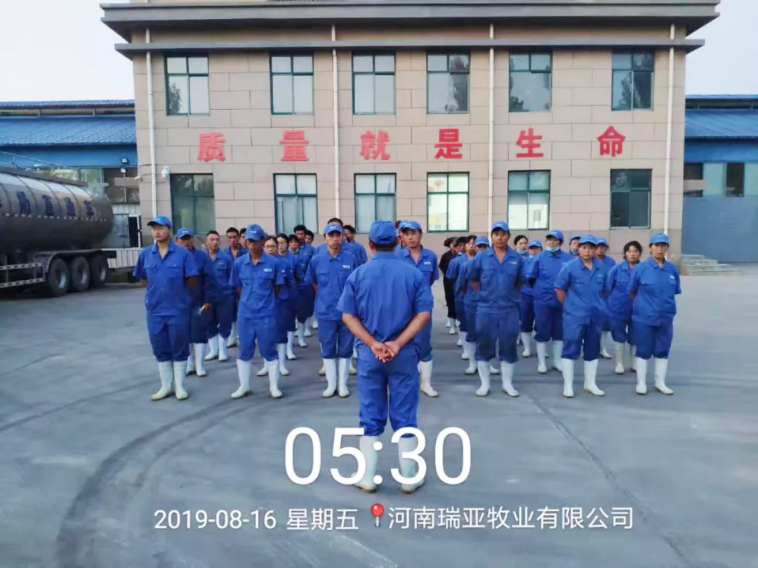 小晨會(huì)·大能量——砥礪奮進(jìn)的花花牛，加油！